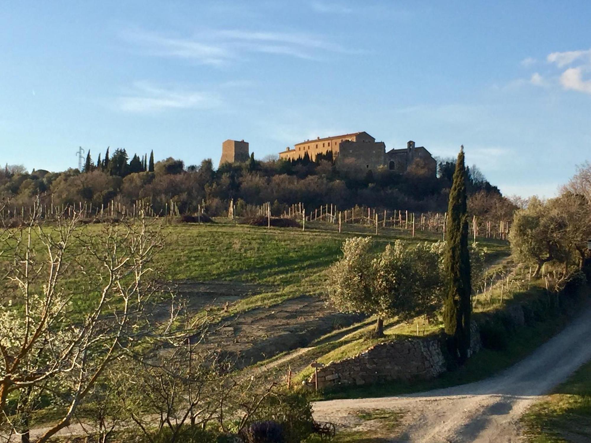Agriturismo Le Querciole In Val D'Orcia バーニョ・ヴィニョーニ エクステリア 写真