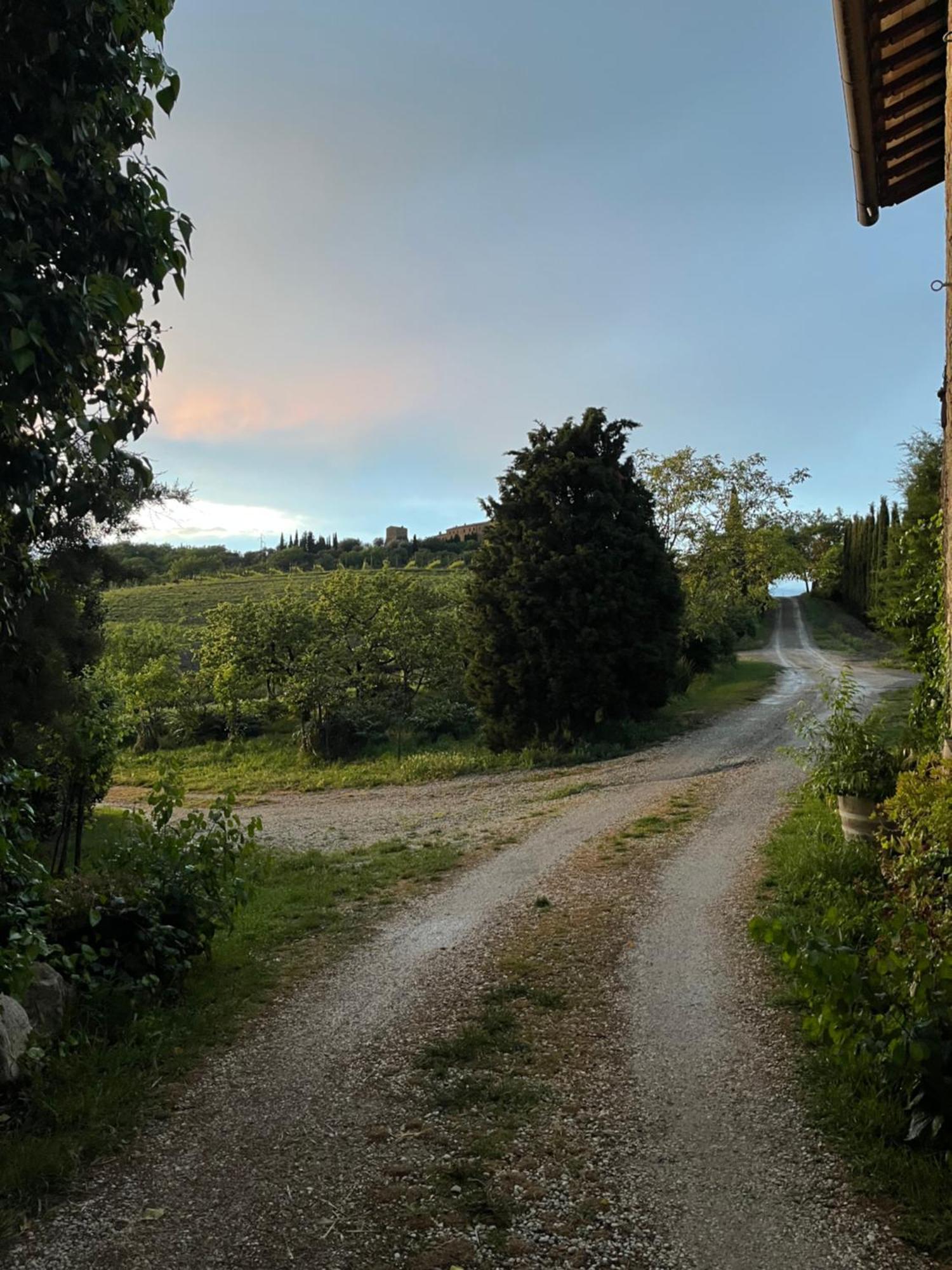 Agriturismo Le Querciole In Val D'Orcia バーニョ・ヴィニョーニ エクステリア 写真