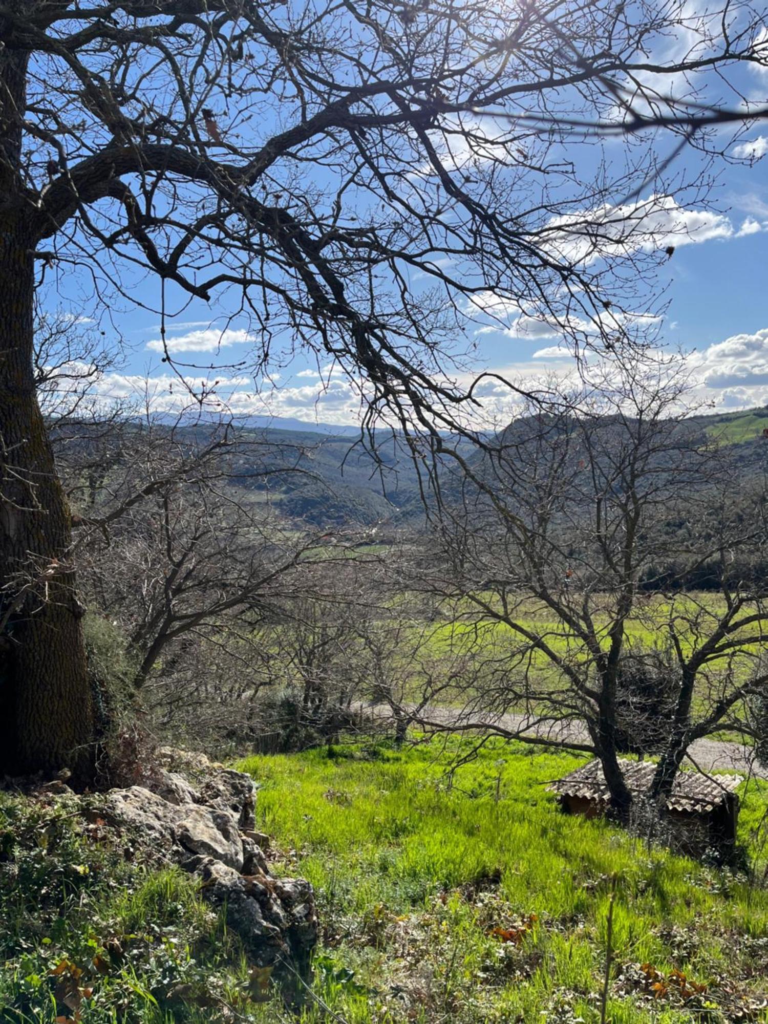 Agriturismo Le Querciole In Val D'Orcia バーニョ・ヴィニョーニ エクステリア 写真